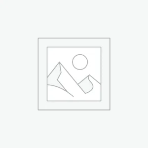 Home Monstera Deliciosa